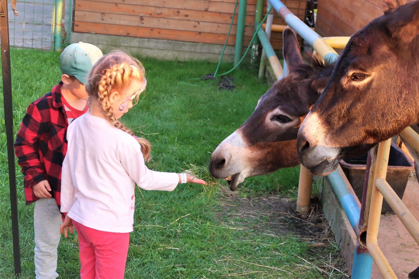 VŽO organized a corporate family day