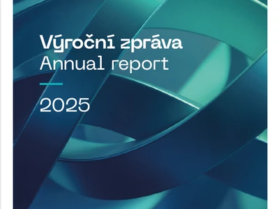 CE INDUSTRIES Annual Report for 2025